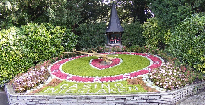 Prächtiger Blumenschmuck in Gestalt einer grün-weiß-pinken Blumenuhr im Garten des Casinos von Interlaken